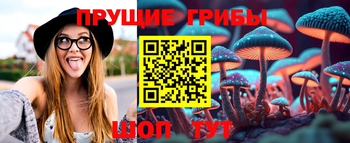 Полевской  Псилоцибиновые грибы мицелий  Вход с VPN 