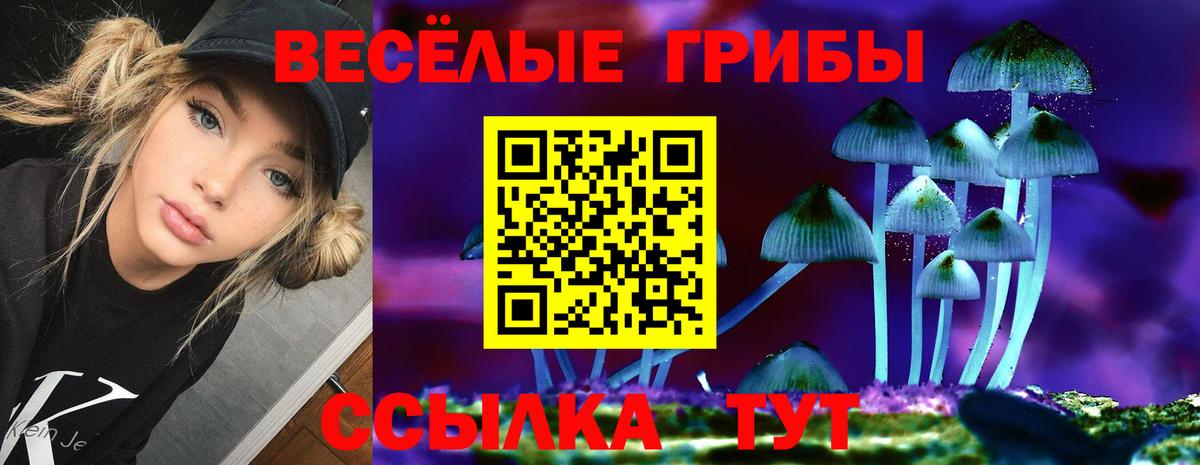 Галлюциногенные грибы Psilocybine cubensis Полевской